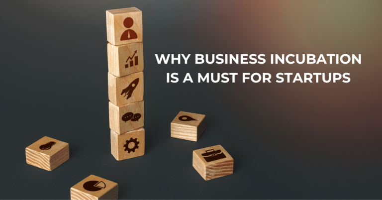 the role of business incubators in startup growth